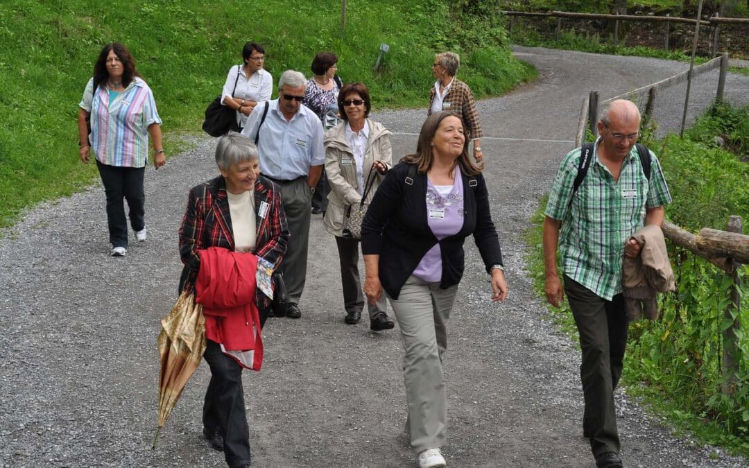 2010 Ballenberg