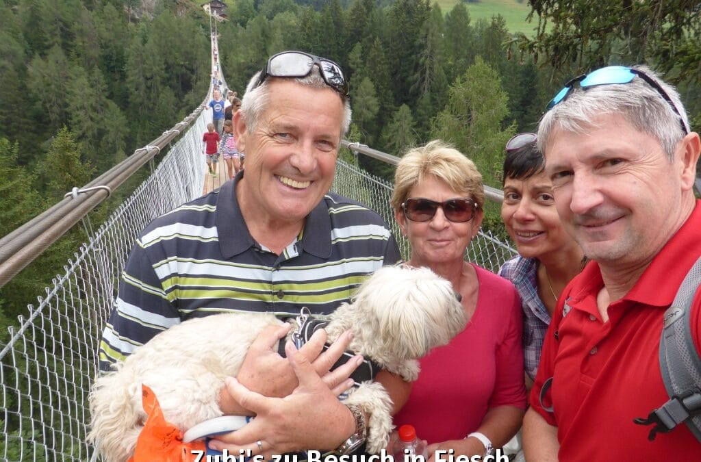 2015 Zubis in Fiesch